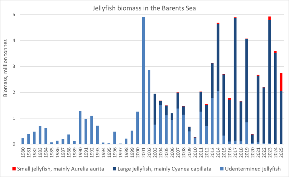 Figure 5.3.3.3. Total biomass of jellyfish in the Barents Sea in August-September 1980-2025. Large jellyfish were dominating by C. capillata, small jellyfish dominated by A. aurita, and other jellyfish (found occasionally). Biomass estimates in 2018, 2020 and 2022 were underestimated due to lack of coverage.
