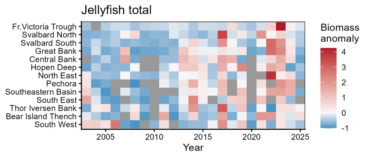 Figure 5.3.3.4. Geographical distribution of jellyfish, mainly C. capillata in 13 polygons in August-September 2003-2025.