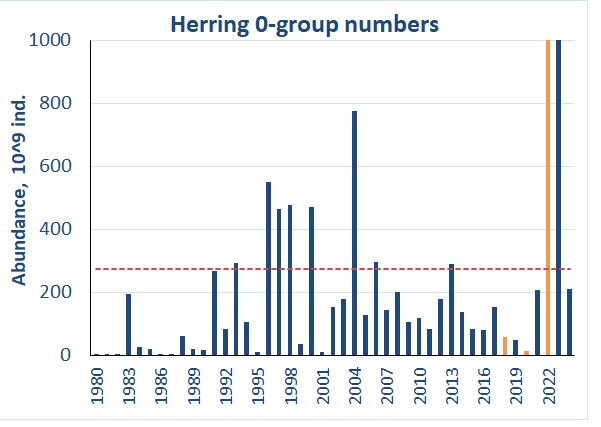 Figure 6.4.2. 0-group herring abundance estimates corrected for capture efficiency (Keff) for the period 1980-2024. Red line shows the long-term average. Abundance indices for 2018, 2020 and 2022 were corrected for lack of coverage and shown by orange column.