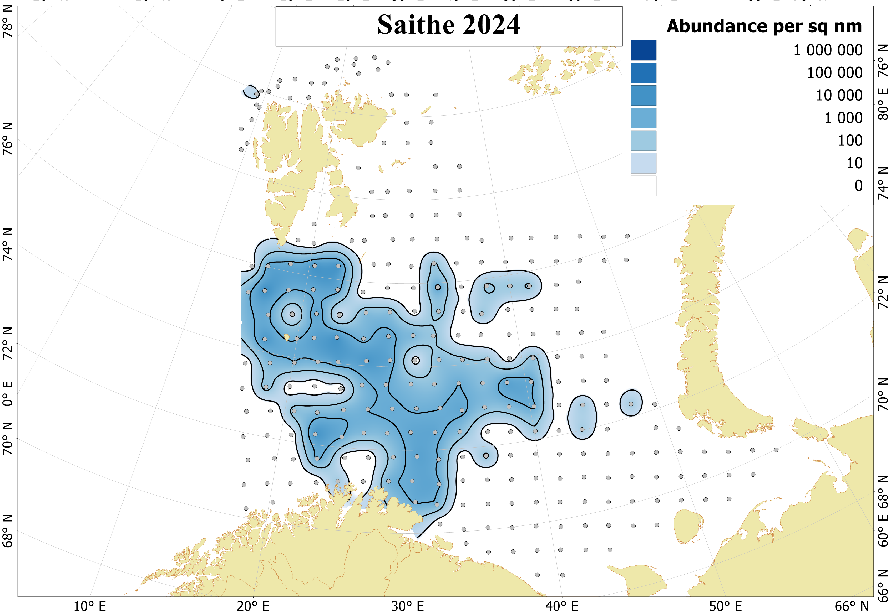 Figure 6.6.1. Distribution of 0-group saithe in August-September 2024. Abundance were not corrected for capture efficiency. Dots indicate sampling locations