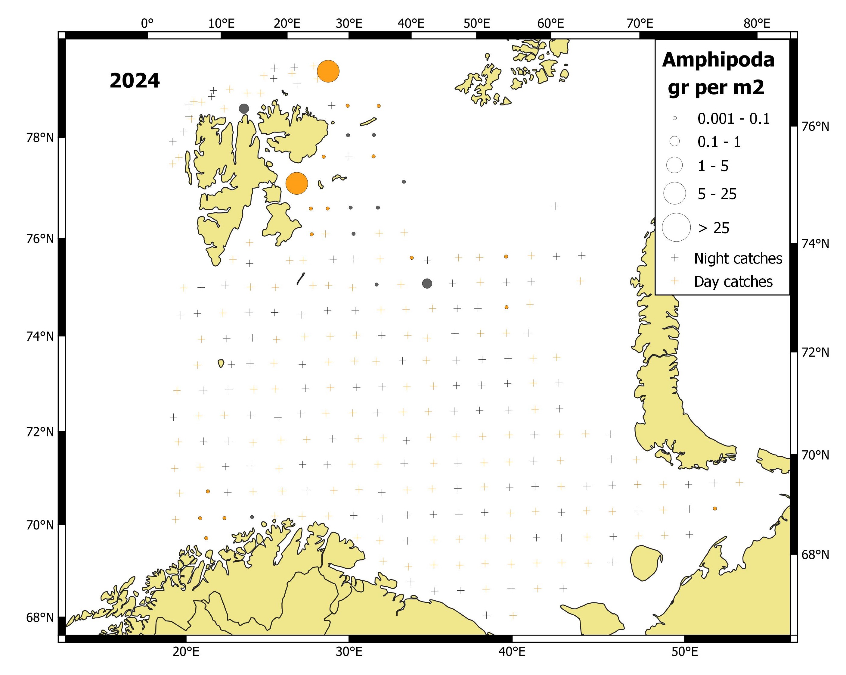 Figure 5.3.2.1 Amphipods distribution, based on trawl stations covering the upper water layers (0-60 m), in the Barents Sea in August-October 2024.