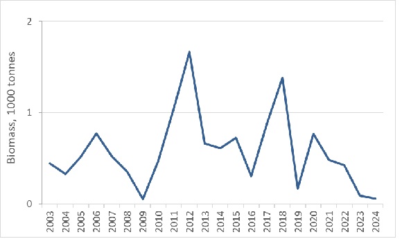 Figure 5.3.2.3 Estimated total biomass of pelagic amphipods in the Barents Sea in August-October 2024 based on pelagic trawl catches covering the upper water layers (0-60 m). Estimates in 2003-2024 were calculated based on a subarea’s average catches and covered area within the subarea (Fig. 5.3.1.1).