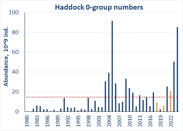 Figure 6.3.2. 0-group haddock estimates corrected for capture efficiency (Keff) for the period 1980-2024. Red line shows the long-term average. Abundance indices for 2018, 2020 and 2022 were corrected for lack of coverage and shown by orange columns.