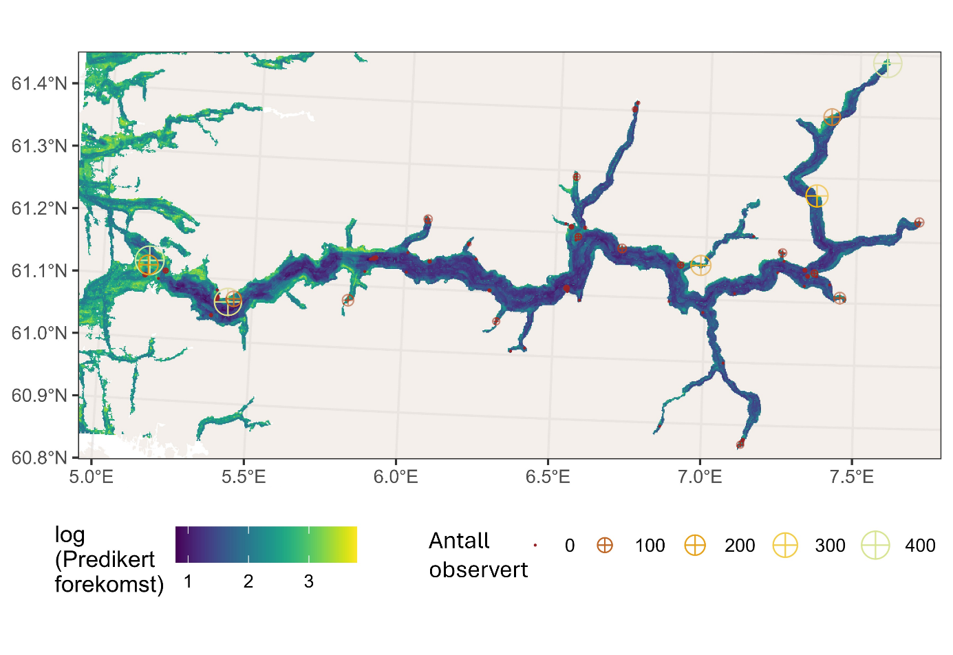 Kartutsnitt over Sognefjorden. Log (predikert forekomst) fra litt under 1 (mørkest blå) til litt under 4 (gul). Observert sjøfjærbunn vises som sirkler med ulike størrelser: Prikk (0), deretter sirkler med kryss med økende størrelse: 50, 200, 300 og 400. Koordinater langs nedre og venstre marg.