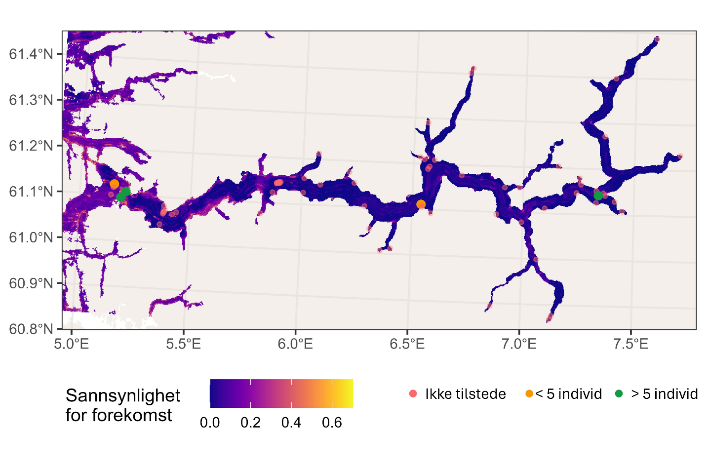 Kartutsnitt over Sognefjorden. Sannsynlighet for forekomst fra 0,0 (mørkest blå) til litt over 0,6 (gul). Observert korallforekomst vises som prikker med ulike farger: rød (ikke til stede), oransje (<5 individ) og grønn (> 5 individ). Koordinater langs nedre og venstre marg.