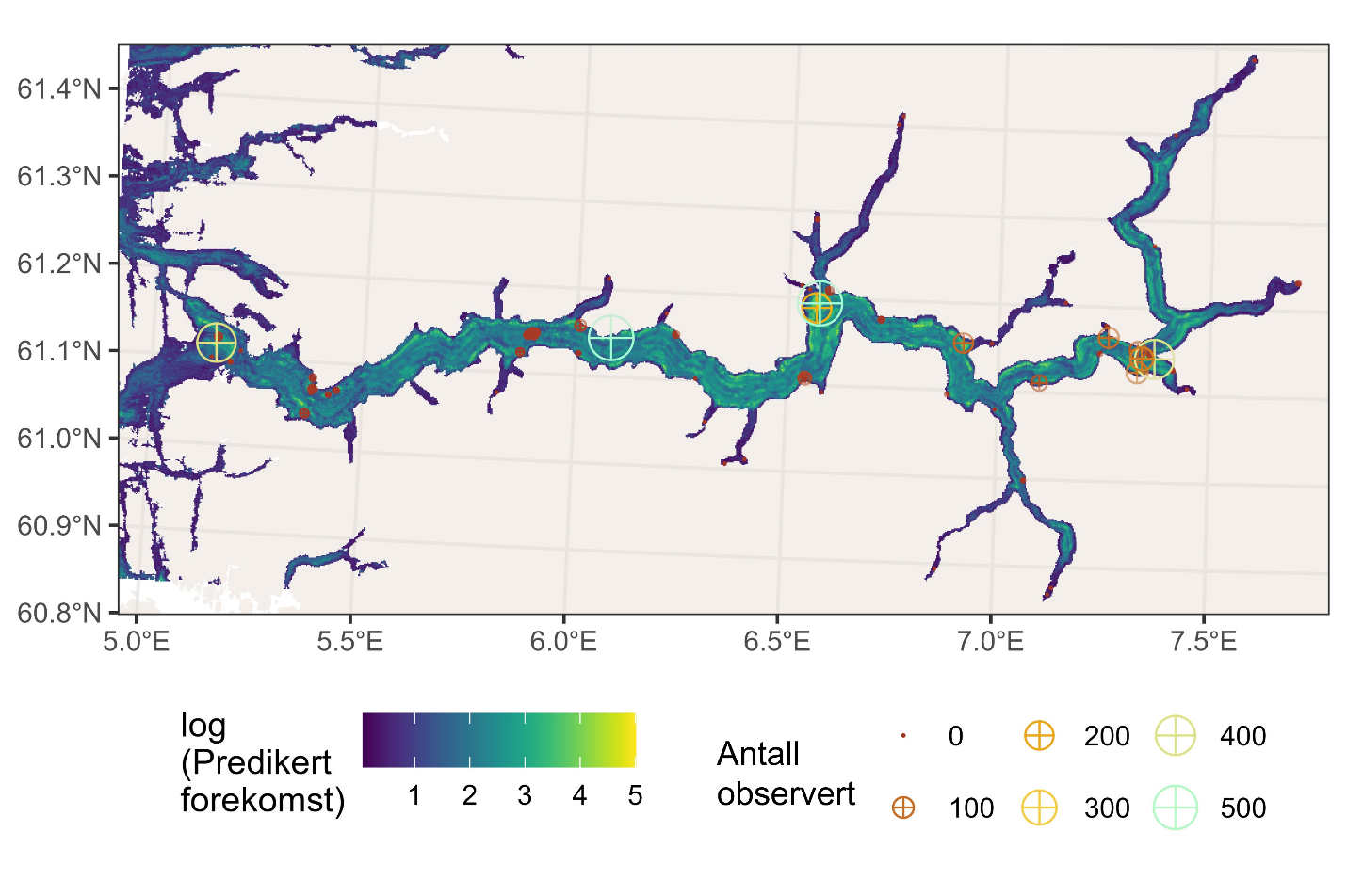 Kartutsnitt over Sognefjorden. Log (predikert forekomst) fra 0 (mørkest blå) til 5 (gul). Observert sylindersjørosebunn vises som sirkler med ulike størrelser: Prikk (0), deretter sirkler med kryss med økende størrelse: 100, 200, 300, 400 og 500. Koordinater langs nedre og venstre marg.
