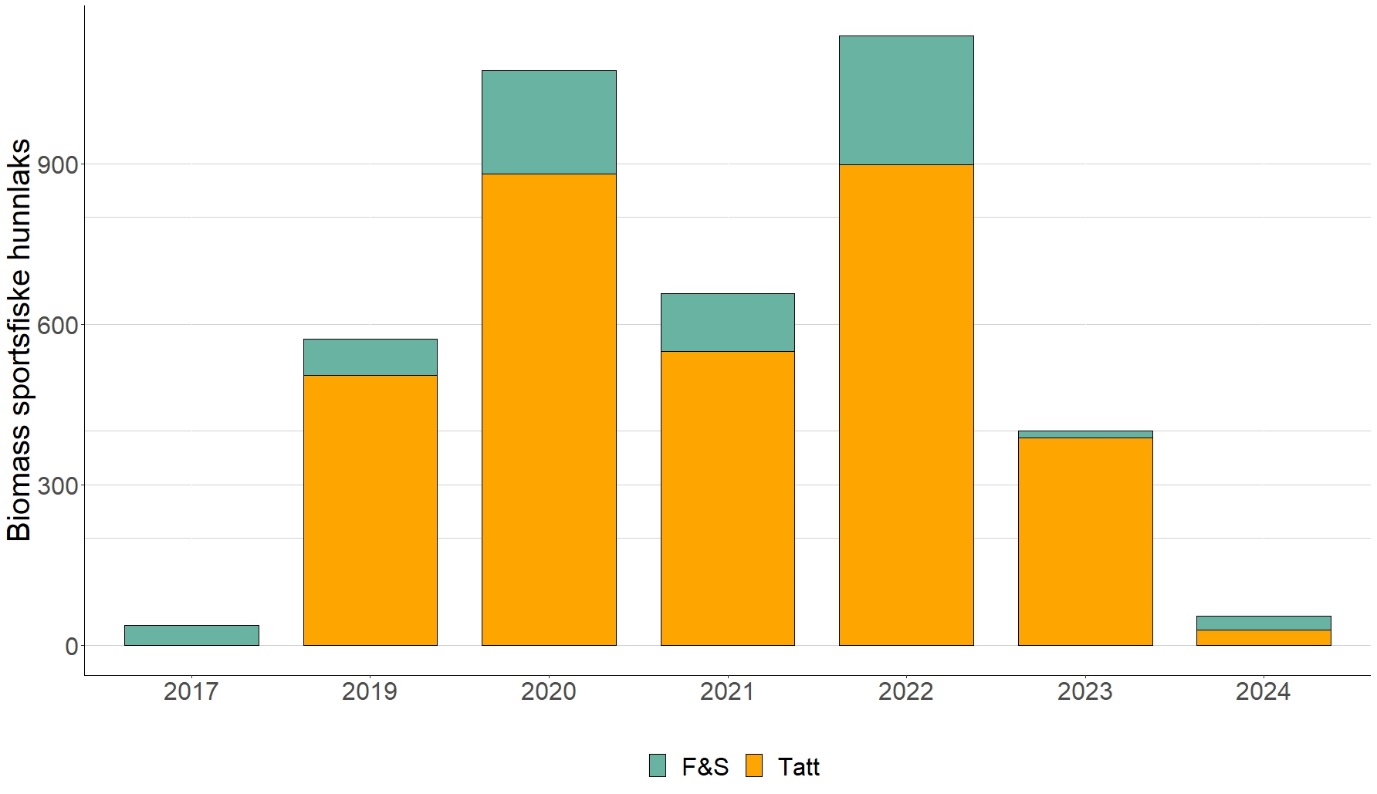 Antall kilo rapportert biomasse av hunnlaks fanget under sportsfiske fra 2017 til 2024. Merk at i 2024 ble fiskesesongen stengt tidlig. 'F&S' tår for fang og slipp, 'tatt' er fiskene som er avlivet. Data er hentet fra Elveguiden.no 