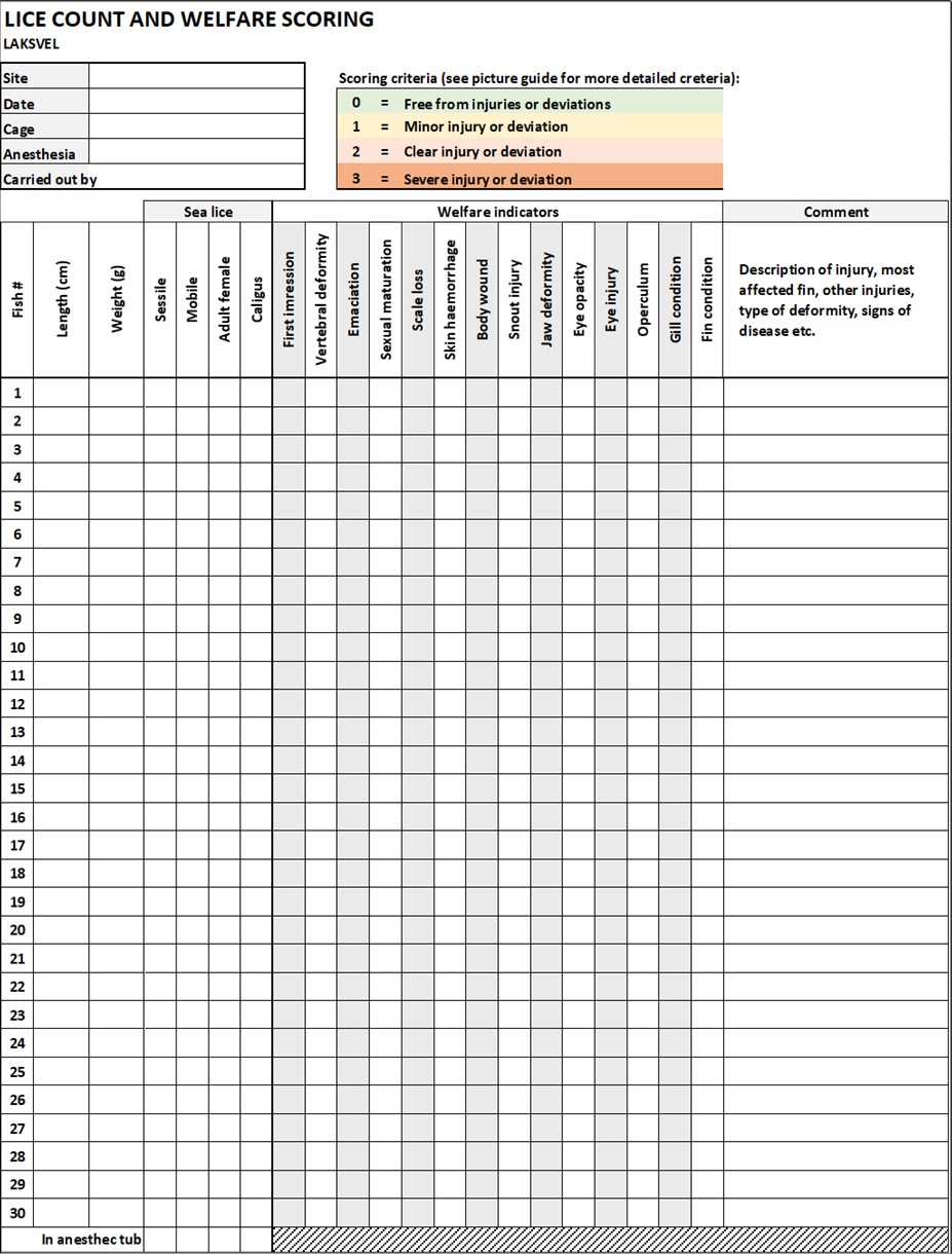Scoring table
