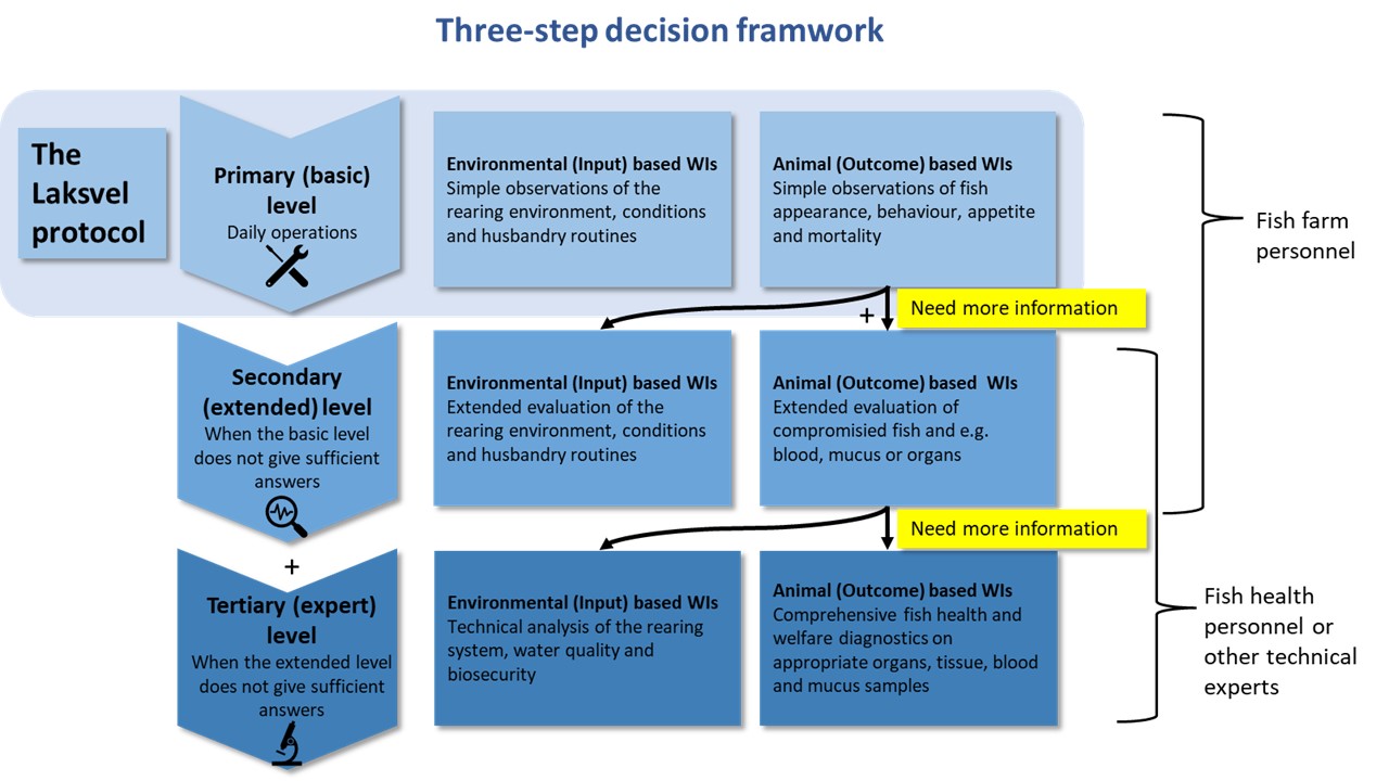 Three-step decision framework for how welfare indicators can be used as a welfare monitoring and documentation platform on site. At the Primary (basic) level, operational welfare indicators (OWIs) will be used, while on the extended and expert levels an increasing degree of analysis will require that laboratory-based welfare indicators (LABWIs) will be taken into use, and/or larger samples will be collected.