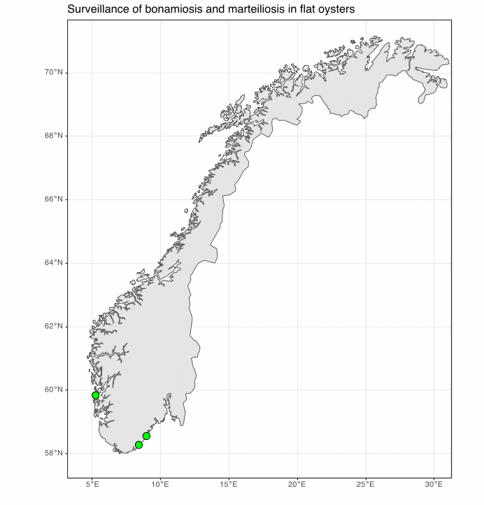 Norgeskart med årets tre prøvetakingslokaliteter for bonamiose og marteiliose i østers