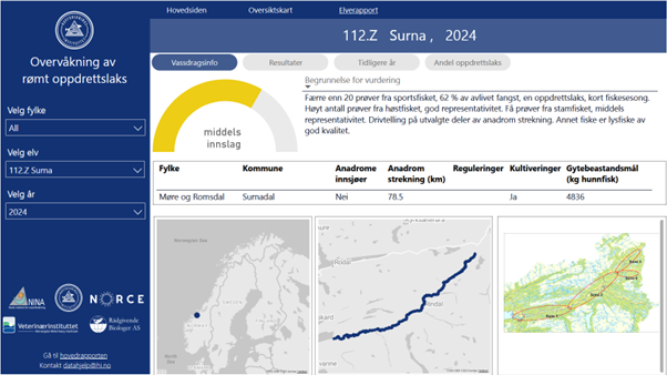 Figuren viser en elverapport for Surna med vurdert innslag av rømt oppdrettslaks og begrunnelse for vurdering i 2024, basisinformasjon om vassdraget og ulike kart over vassdragets plassering og utstrekning.  