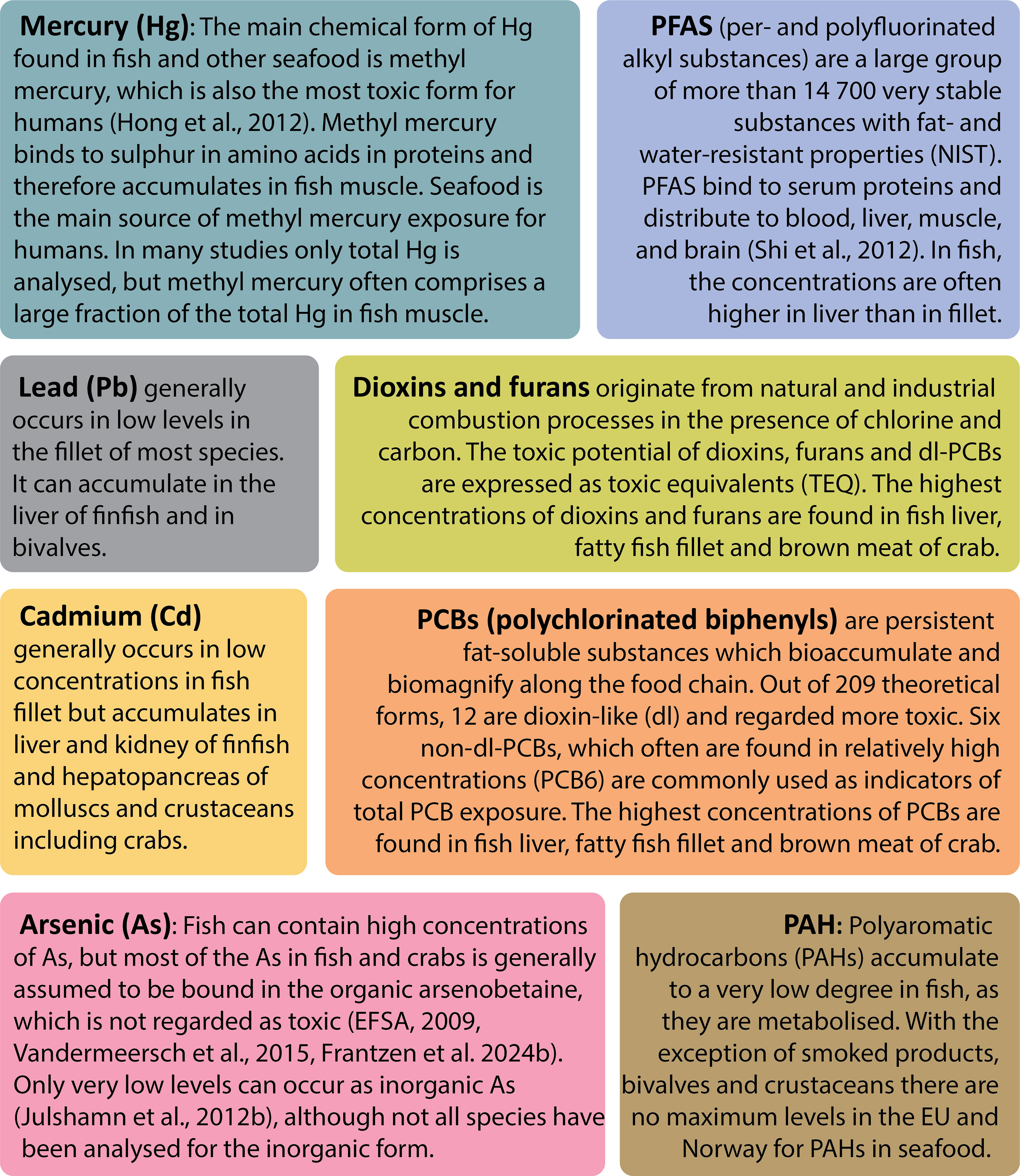 A fact box with text describing each of the contaminants mercury, lead, cadmium, arsenic, PFAS, dioxins and furans, PCBs and PAH, contaminants that are found in fish and other seafood.