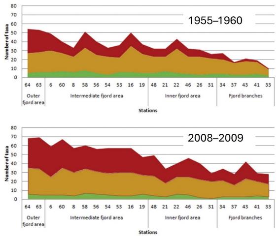 To diagram 1955-1960 øverst og 2008-2009 nederst. X-aksene viser stasjonsnumre og er inndelt som følger, fra venstre: 64-63 = Outer fjord area. 6-19 (9 stykk) = Intermediate fjord area. 48-31 (6 stykk) = Inner fjord area. 34-33 (5 stykk) = fjord branches. Y-aksen viser «number of taxa) og går fra 0 til 80.
