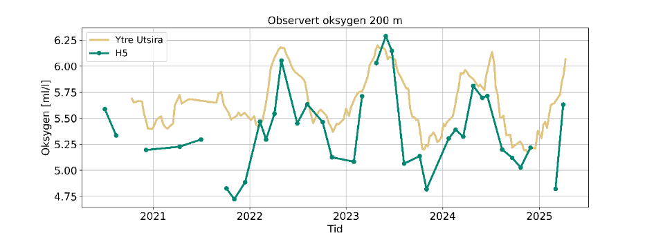 Linjediagram «Observert oksygen 200 m» med tid langs x-aksen fra 2020 til 2025, og oksygen (ml/l) langs y-aksen fra 4,75 til 6,25. Gul linje = Ytre Utsira, grønn linje med punkt = H5. Det er fire «hull» i tidsserien fra H5. 