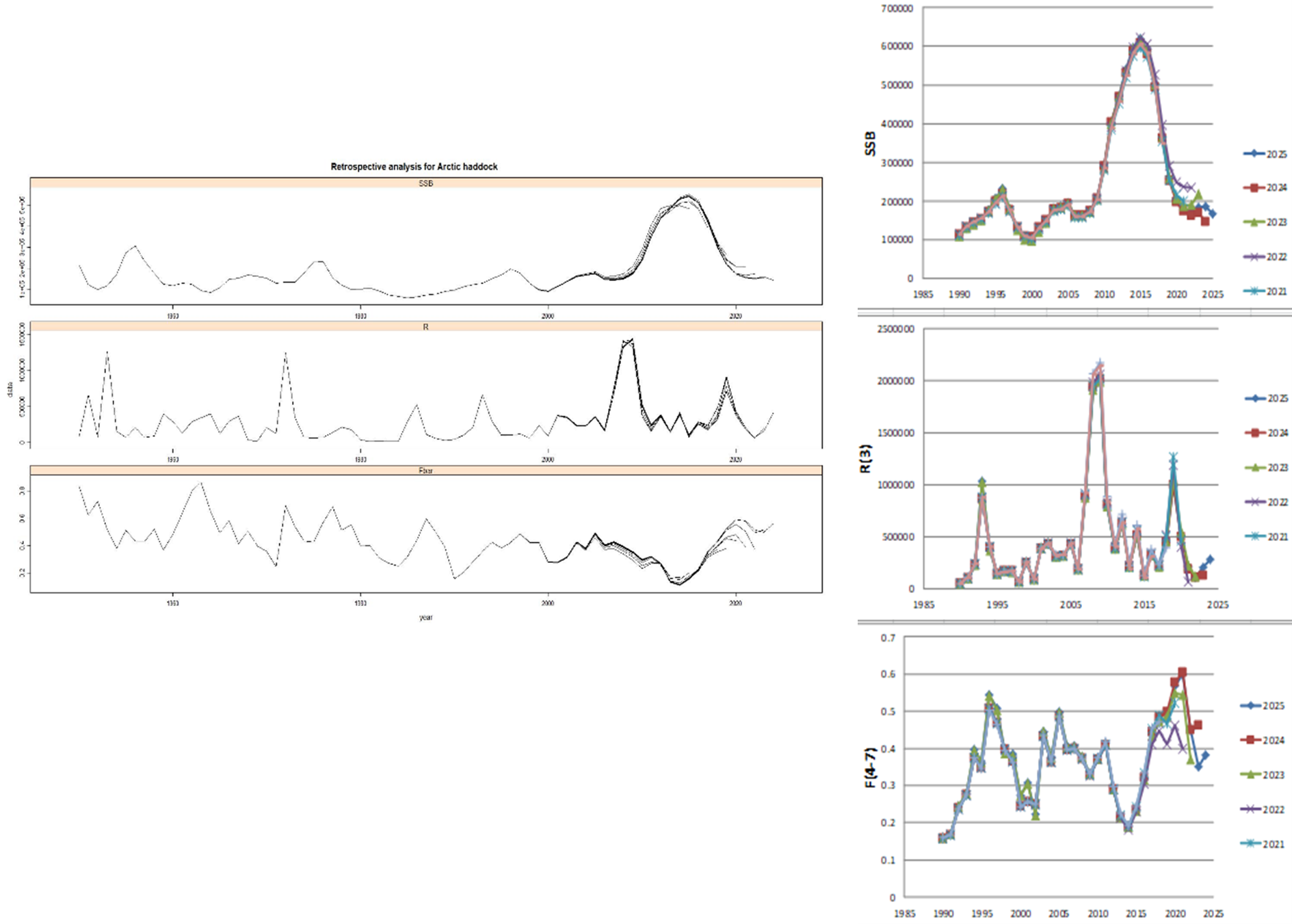 Figure 4.5. Northeast Arctic haddock. Retrospective plots of SSB, fishing mortality and recruitment for assessment years 1950–2024 (left - XSA without P shrinkage, F shrinkage= 0.5) and right - for assessment years 1990–2025 from the TSVPA model.