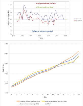 Figure 6.7. S. mentella in subareas 1 and 2. The upper panel shows weight-at-age 19+ as reported from catches (blue) or modelled from catches and survey observations (red) using a mixed effect model (Figure 6.5). AFWG 2017 was the last working group using the annual mixed effect model. The weights-at-age used in the assessment were based on the fixed effects model and are therefore the same for every year. These weights were updated in 2022 and differ only slightly from those estimated in the assessments since 2018. The bottom panel shows comparison of the observed Norwegian and Russian weight by age with the modelled one up to 2020.