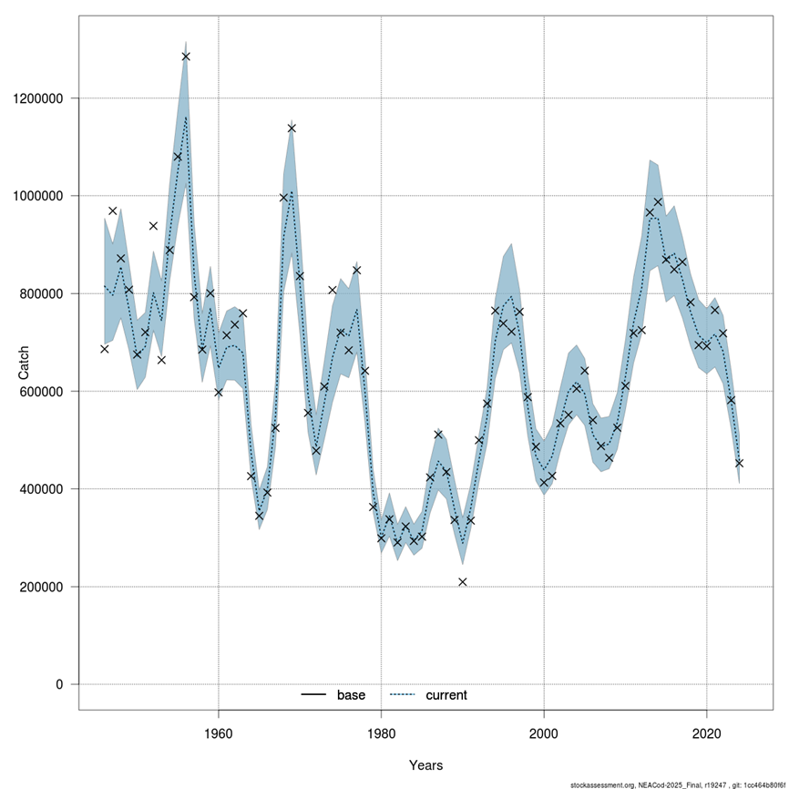 Figure 3.2.d. NEA cod final SAM run fit. Total catch in weight. Modelled catches from the final run and point wise 95% confidence intervals are shown by line and shaded area. The yearly observed total catch weight (crosses) are calculated as Catch(y)=sum(W(a,y)*C(a,y)).    