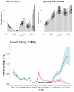 Figure 6.18. S. mentella in subareas 1 and 2. Results from the statistical catch-at-age assessment run showing the estimated recruitment-at-age 2 spawning-stock biomass from 1992 to 2023 and annual fishing mortality coefficients by year (Fy) from the demersal (blue) and pelagic (red) fleets. Error bars (top) and the coloured envelope (bottom) indicate 95% confidence limits.