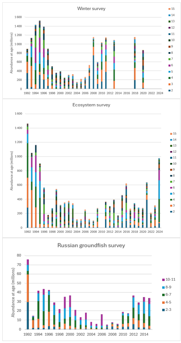Figure 6.11. S. mentella in subareas 1 and 2. Age disaggregated abundance indices for bottom-trawl surveys 1992–2024 in the Barents Sea in winter (winter survey top) in summer (Ecosystem survey middle) and in autumn (Russian groundfish survey bottom).