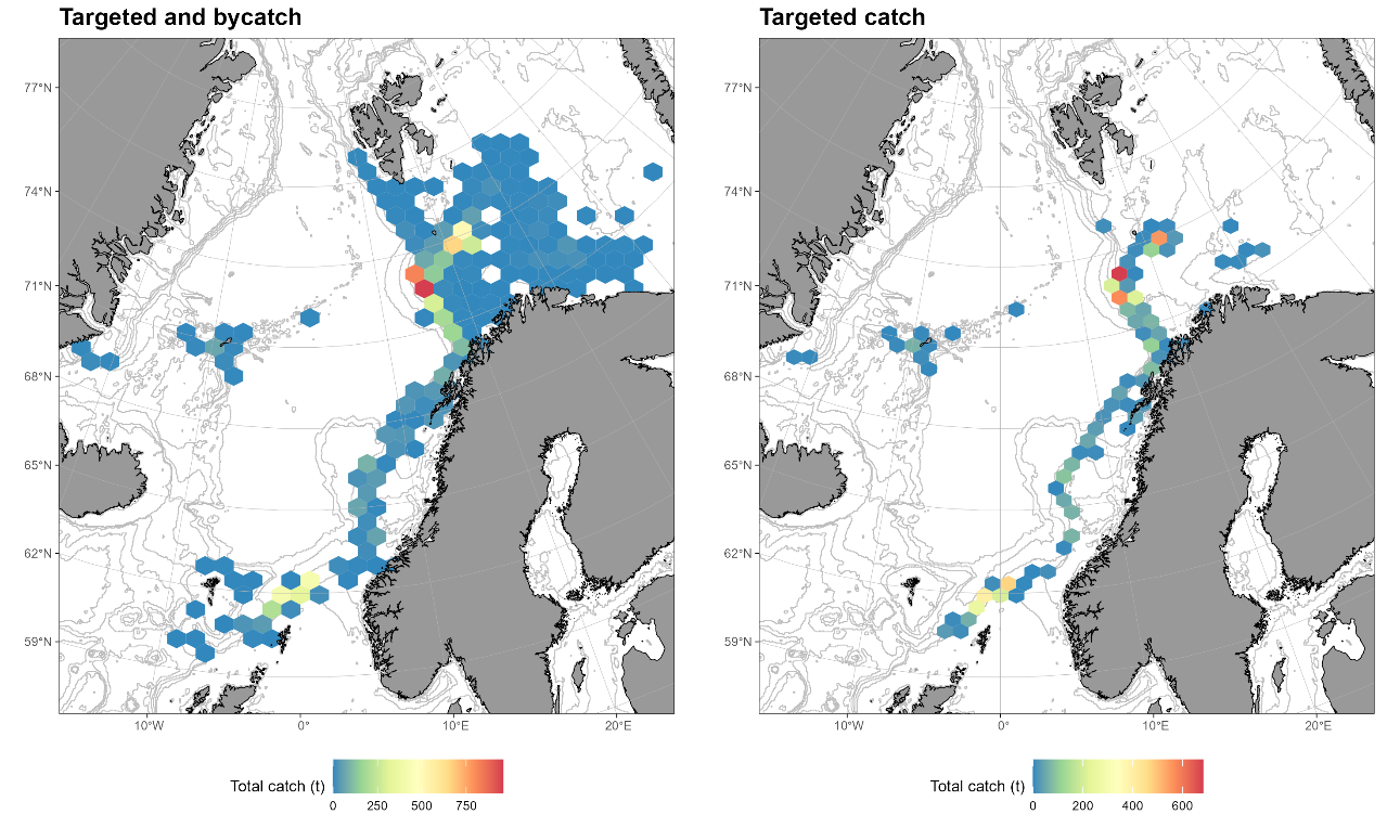Figure 8.2. Spatial distribution of Greenland halibut catches in 2024 according to Norwegian electronic logbooks, in all registered fisheries including bycatch (A), and catches where Greenland halibut make more than 50% of the total catches (B).