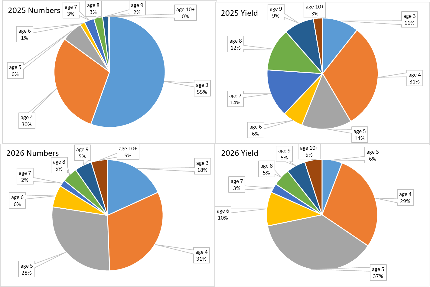 Figure 4.8 Top left: proportion of the stock (number of individuals) by age in 2025, output from SAM (Table 4.13).  Top right: proportion of yield in biomass by age forecasted for 2025, using TAC constraint for 2025, taken from Table 4.20. Bottom left: proportion of the stock (number of individuals) by age in 2026, taken from Table 4.20. Bottom right: proportion of yield in biomass by age forecasted for 2026 applying Fbar=0.35, taken from Table 4.20.