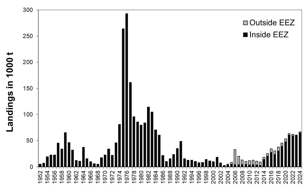 Figure 6. 1. S. mentella in subareas 1 and 2. Total international landings 1952–2024 (thousand tonnes).