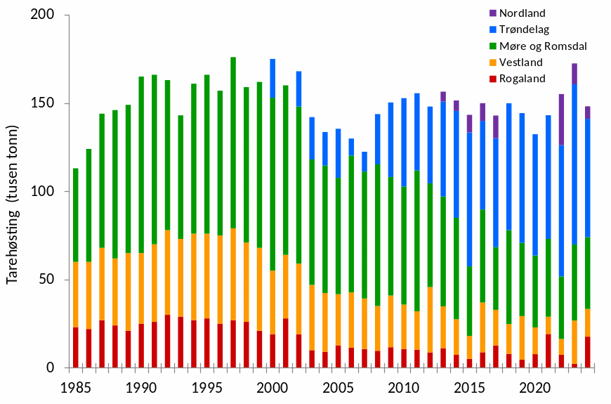 Figur 30. Kalenderårlig høstekvantum av stortare per fylke i perioden 1985-2024 (Kilder: Fiskeridirektoratet og tarenæring).