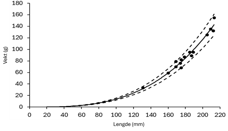 Figur 15 : Lengde-vekt forhold for vill berggylte inkludert i forsøkene (W = a × Lb). a = 9,620 × 10-6 og b = 3,08. R2 = 0.966. Stiplede linjene viser 95% konfidensintervall.