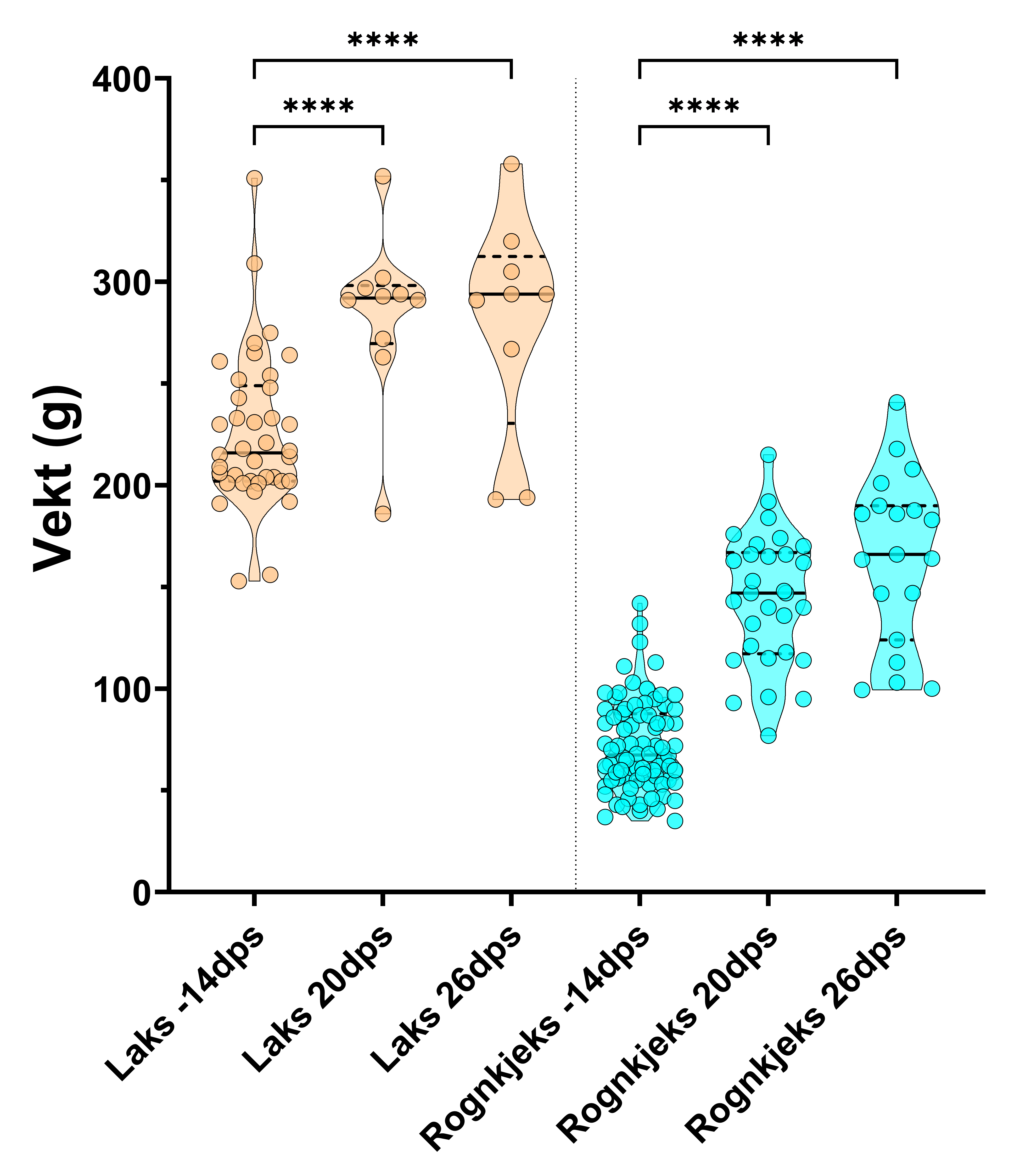 Trunkert fiolinplot for vekt av laks og rognkjeks i forsøk 2 