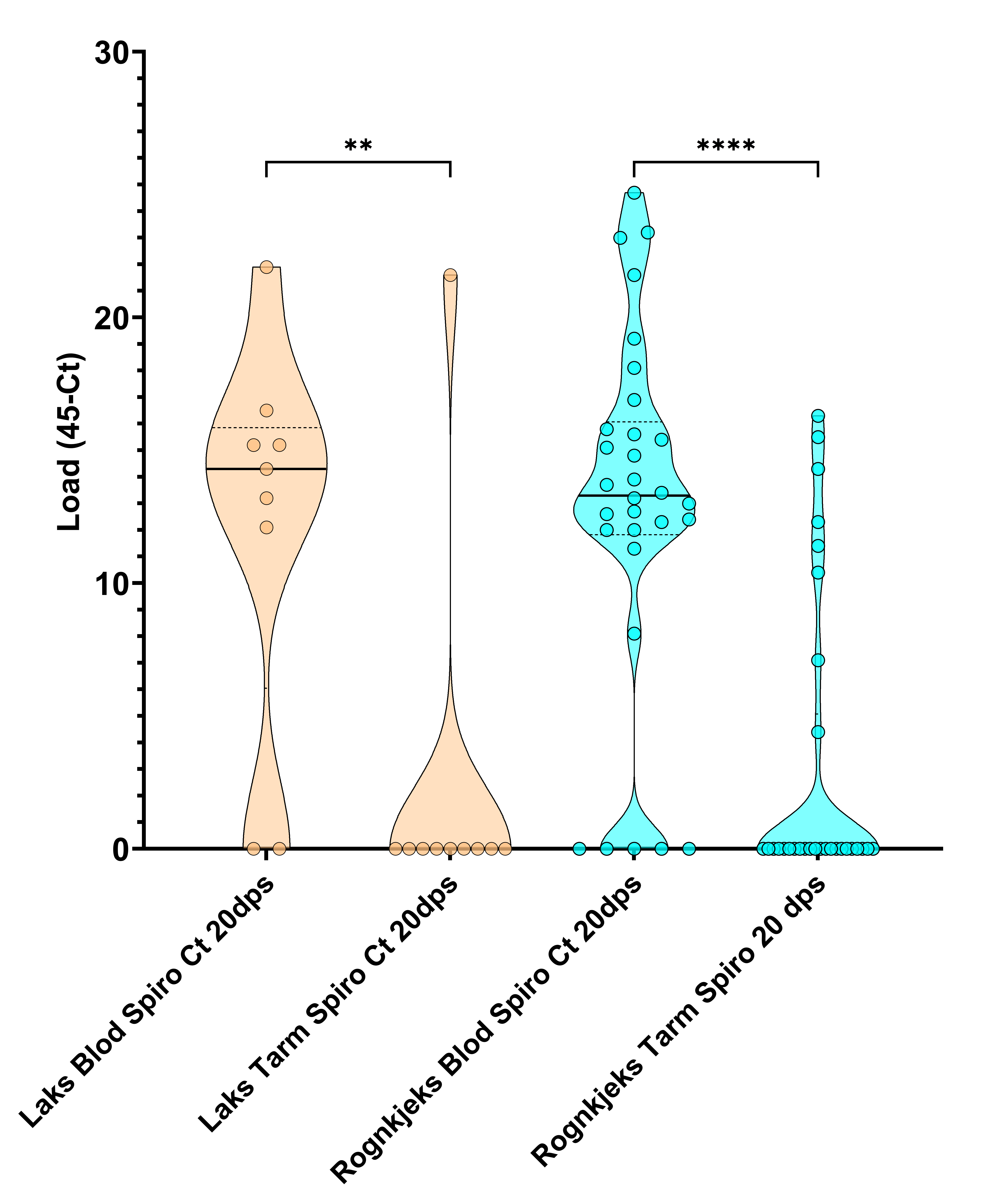 Trunkert fiolinplot for mengde S. salmonicida i laks og rognkjeks i forsøk 2 tre veker etter badsmitte. Alle fiskar analysert er vist. Det var forskjell i mengde S. salmonicida mellom tarm og blod. Dps – dagar etter smitte. 