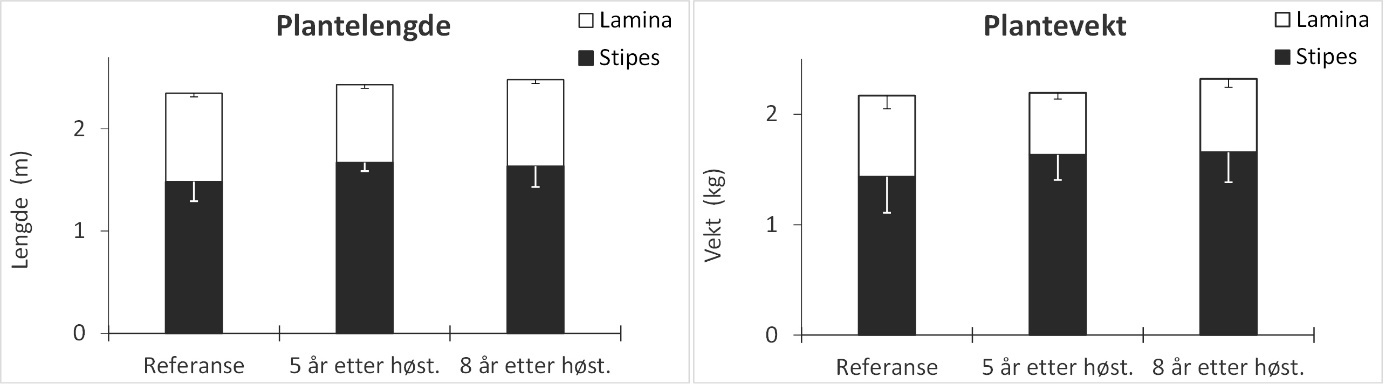 Figur 17. Gjennomsnittlig stilk (stipes) og blad (lamina) lengder (venstre panel) og gjennomsnittlig stilk- og bladvekt (høyre panel) for stortareplanter samlet inn på stasjoner i uhøstede referanseområder, felt som ble høstet 5 år tidligere og felt som ble høstet 8 år tidligere. Nedre grense for 95 % konfidensintervall er tegnet inn.