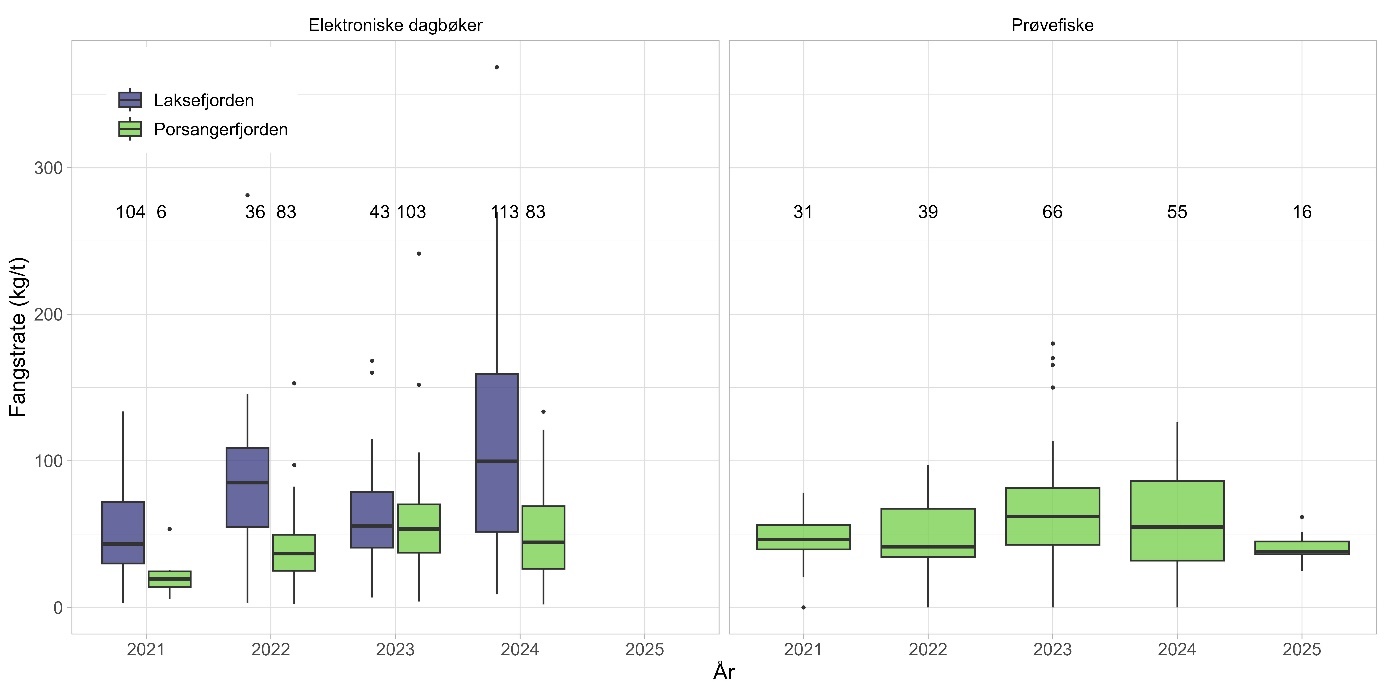 To boksplott der data fra Laksefjorden er representert med lilla bokser og data fra Porsangerfjorden er grønne bokser. X-aksen (År) viser årene 2021til 2025. Y-aksen (Fangstrate kilo per time) går fra 0 til 350 kg. Tallene øverst viser antall hal hvert boksplott baserer seg på. For elektroniske dagbøker (plottet til venstre) er det henholdsvis 104, 36, 43 og 113 for Laksefjorden og 6, 83, 103 og 83 for Porsangerfjorden. For prøvefisket (plottet til høyre) er tallene 31, 39, 66, 55 og 16 for Porsangerfjorden