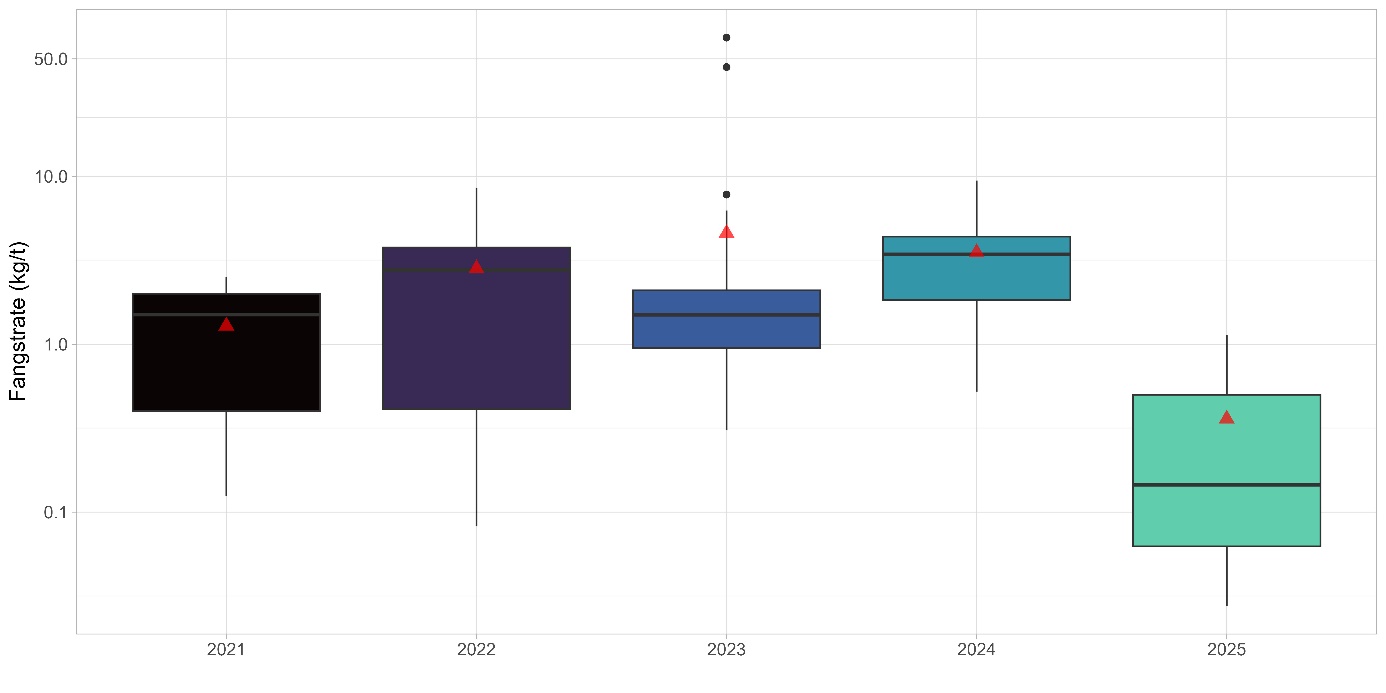 Et boksplott der X-aksen er årene fra 2021 til 2025 og fargen på boksene er henholdsvis svart, mørk lilla, mørk blå, blågrønn og lys grønn. Y-aksen er logaritmisk, og viser fangstrate (kilo per time) og viser 0,0 til 50