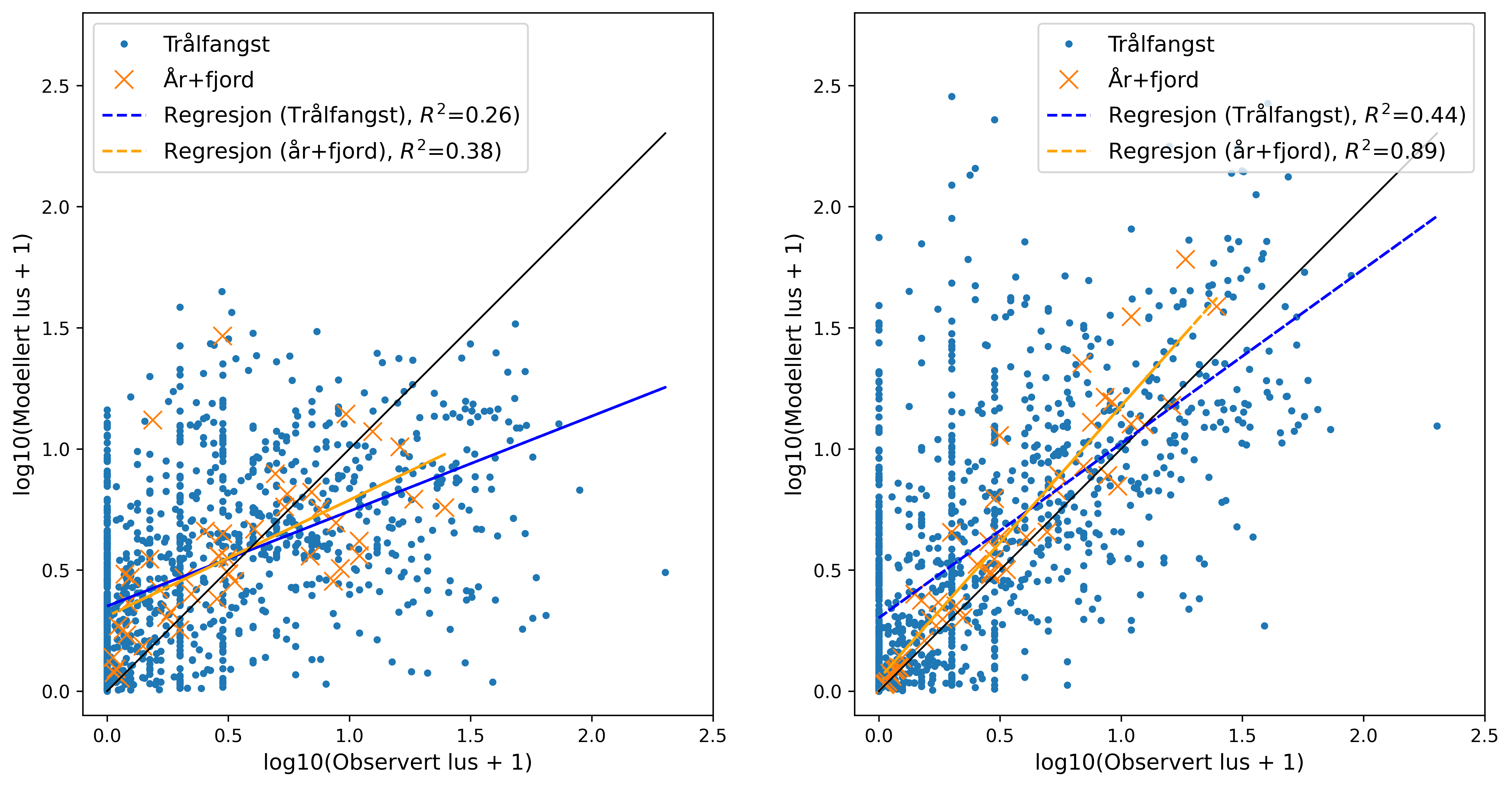 Gjennomsnittlig mengde observert og modellert lus per trålfangst (blå prikker) og per år/fjord-kombinasjon (oransje kryss) uten (til venstre) og med (til høyre) områdekorrigerende faktor. Dataene er plottet på log10+1 skala. Svart linje markerer 1-1 forholdet. 