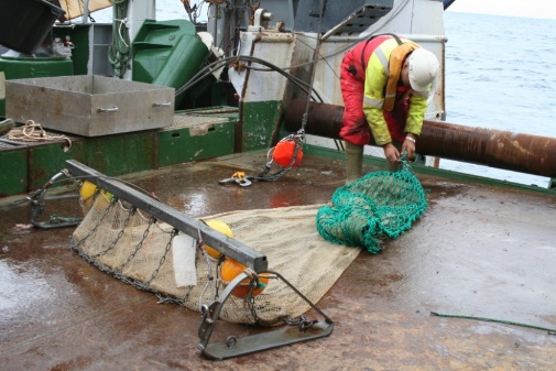 The beamtrawl equipment used in MAREANO for collecting epifauna samples