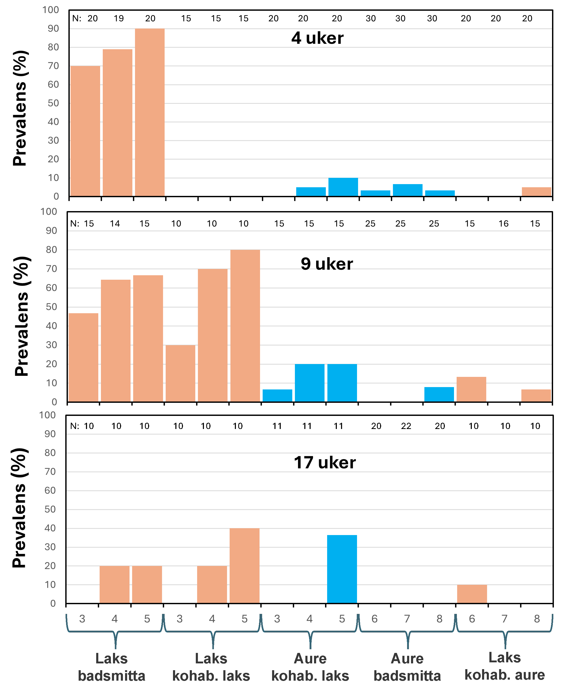 Spironucleus salmonicida prevalens i smittegruppene etter 4, 9 og 17 uker. 