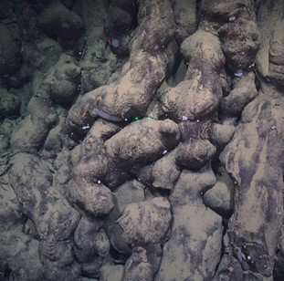 Intertwining pillow lava / tubular flows with small white sponges. 