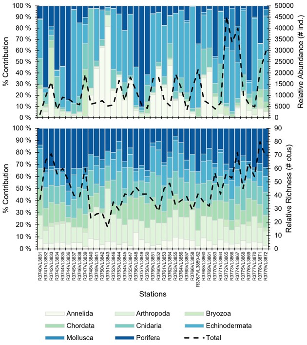 Figure 15. Percent contribution and relative abundance (top) and relative richness (bottom) of the main phyla observed for each reference station.