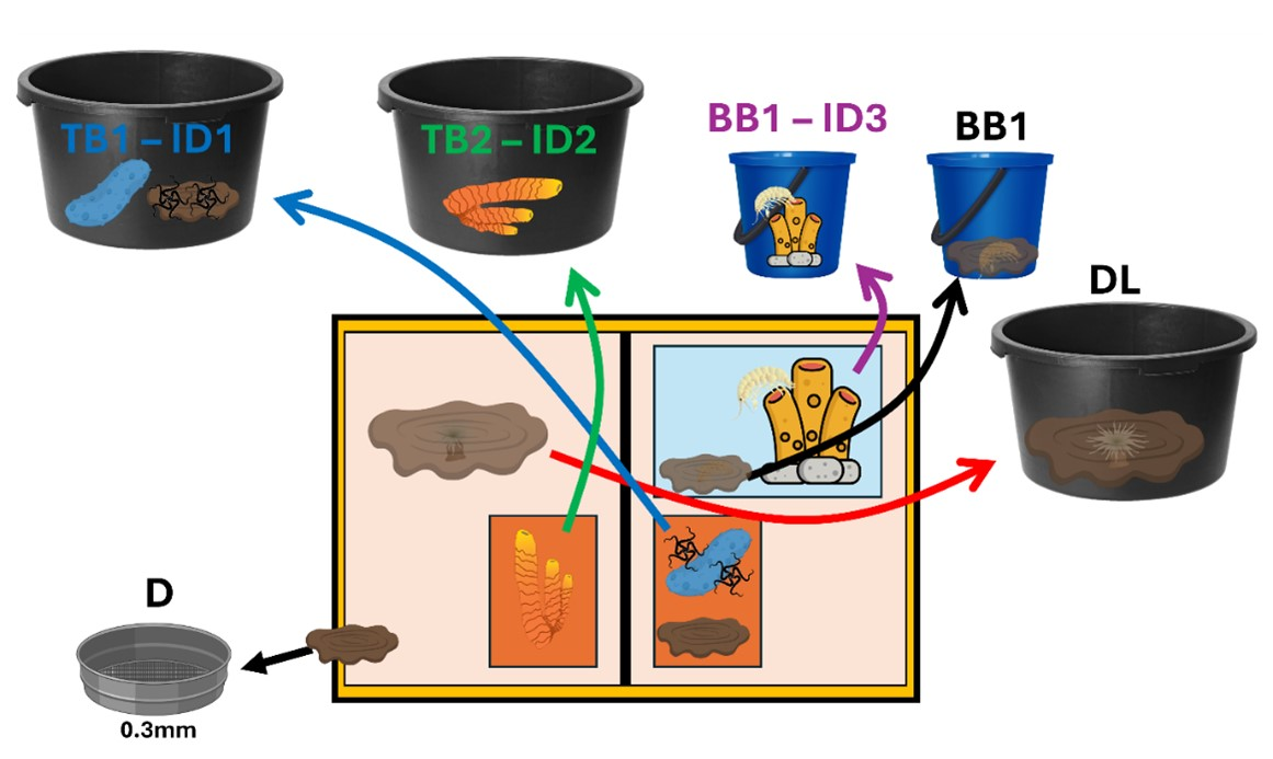 Schematic of retrieving the samples from the ROV where premade labels would include the storage information and EventID. 