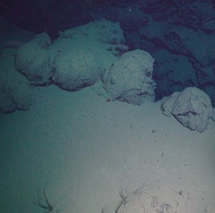 Pillow lava in between sandy mud. 