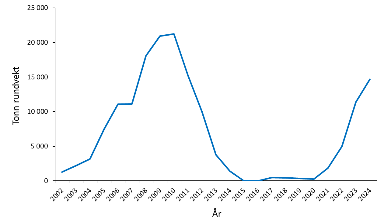 Figur 1.1. Produksjon av torskeoppdrett i Norge i perioden 2002-2024. Data fra Statistisk Sentralbyrå og Fiskeridirektoratet