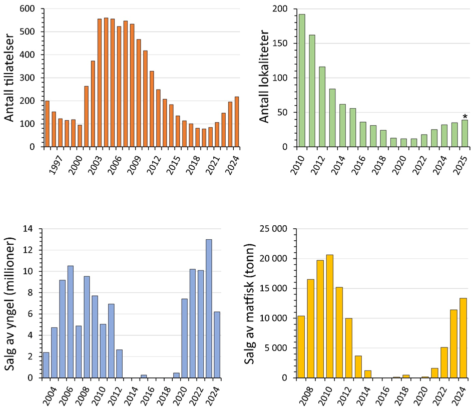 Figur 2.5. Antall tillatelser for oppdrett av torsk (øverst t.v.), antall lokaliteter ved årets begynnelse (øverst t.h., * antall lokaliteter i oktober 2025), salg av yngel av torsk (nede t.v.) og salg av matfisk oppdrettstorsk (nede t.h.). Kilde: Fiskeridirektoratet. Anlegg for forskning er utelatt fra antall lokaliteter.