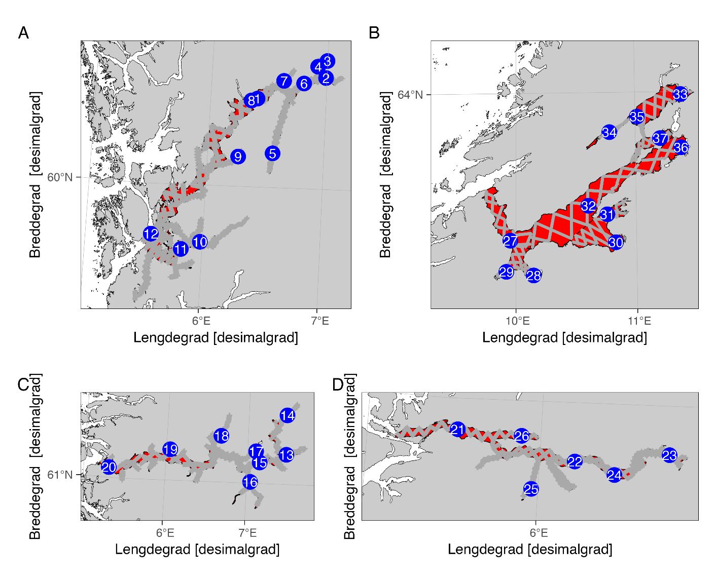 Strata (røde), realiserte akustiske transekt (grå linjer) og trålstasjoner (blå sirkler) dekket under Brislingtokt i Hardangerfjorden, Sognefjorden, Nordfjorden og Trondheimsfjorden 2025