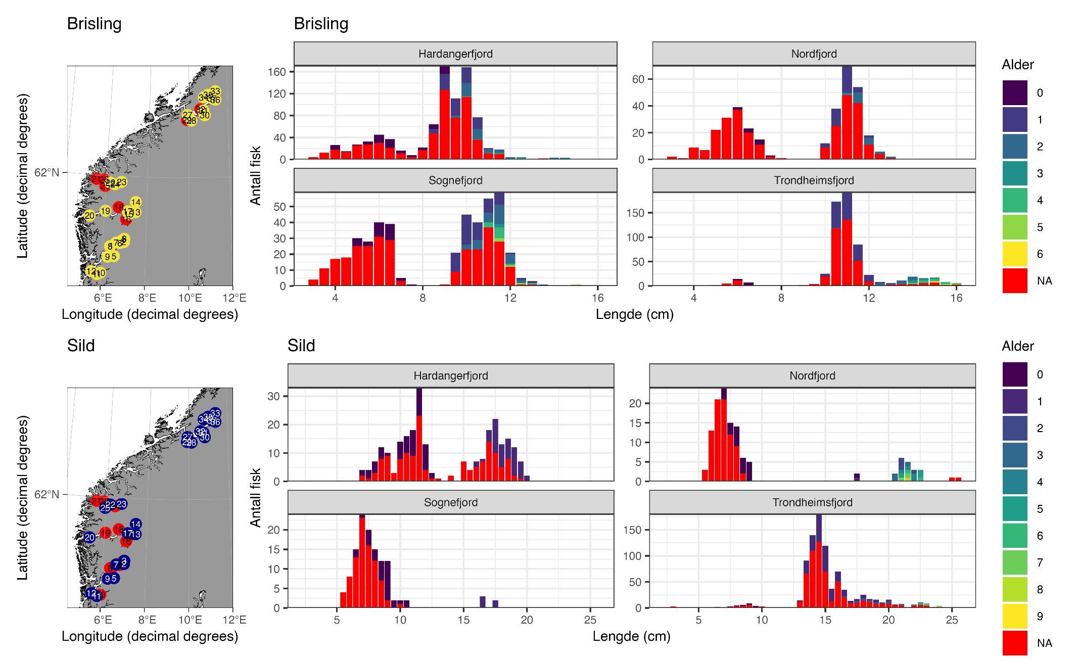 Trålstasjoner med fangst av brisling (øverst, gule sirkler) eller sild (nederst, mørkeblå sirkler). Lengde- og aldersfordeling er gitt for hver fjord. Fordelingene er basert på målt fisk og ikke korrigert for fangstvekt. NB! Det brukes delprøver i prøvetakingen. Dette betyr dette at lengdefordelingen ikke er representativ for faktisk lengdefordeling per fjord. Røde sirkler viser stasjoner uten fangst av pelagisk fisk. NA: alder ikke bestemt