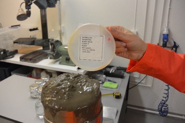 Bilde fra prøveuttak