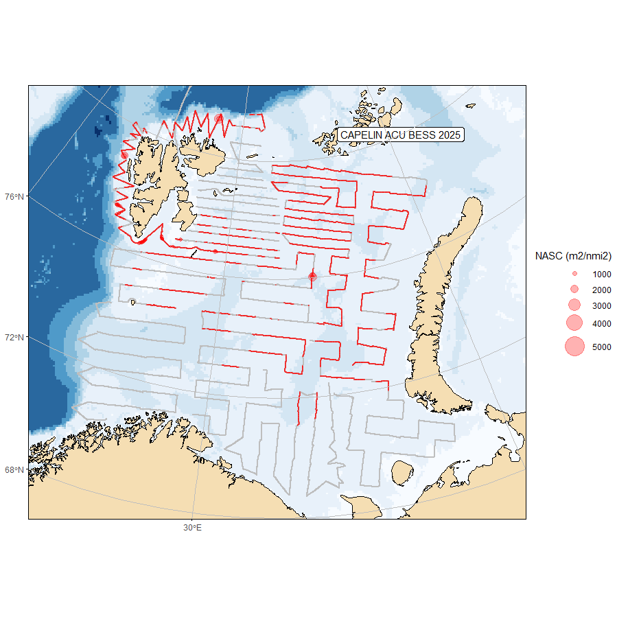 Figure A1. Survey coverage and geographical distribution of acoustic recordings of capelin in au-tumn 2025 and 2024. The size of the circles corresponds to nautical acoustic scattering coefficient (NASC; m2/nmi2) per 1 nautical mile. 