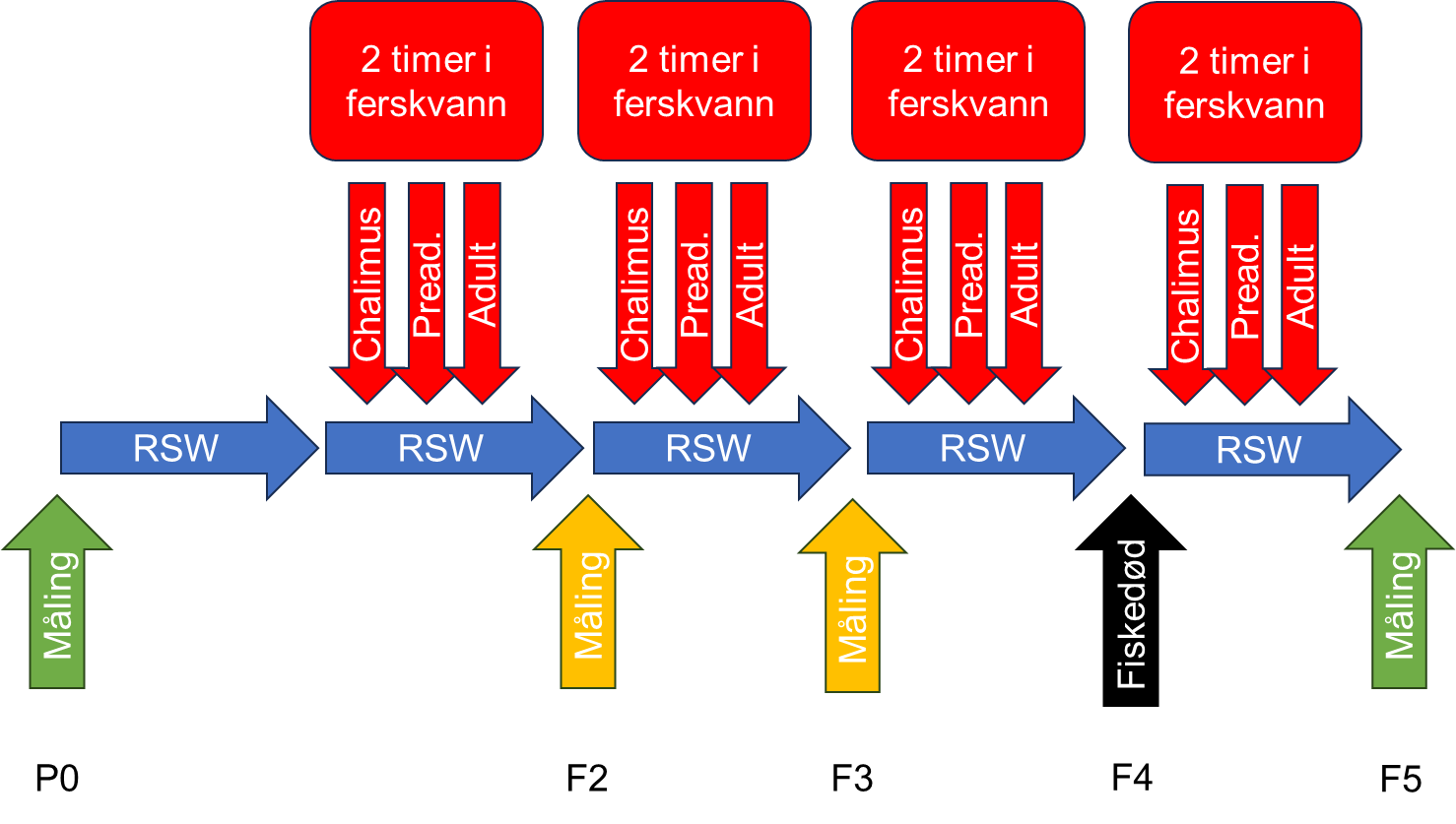 diagram som viser hendelsesforløp i forsøket