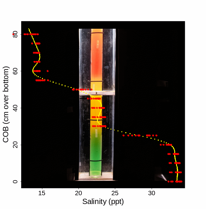 Fotografi av en vannkolonne med farget vann. En graf er lagt oven på bildet og viser saltholdighet av vannet