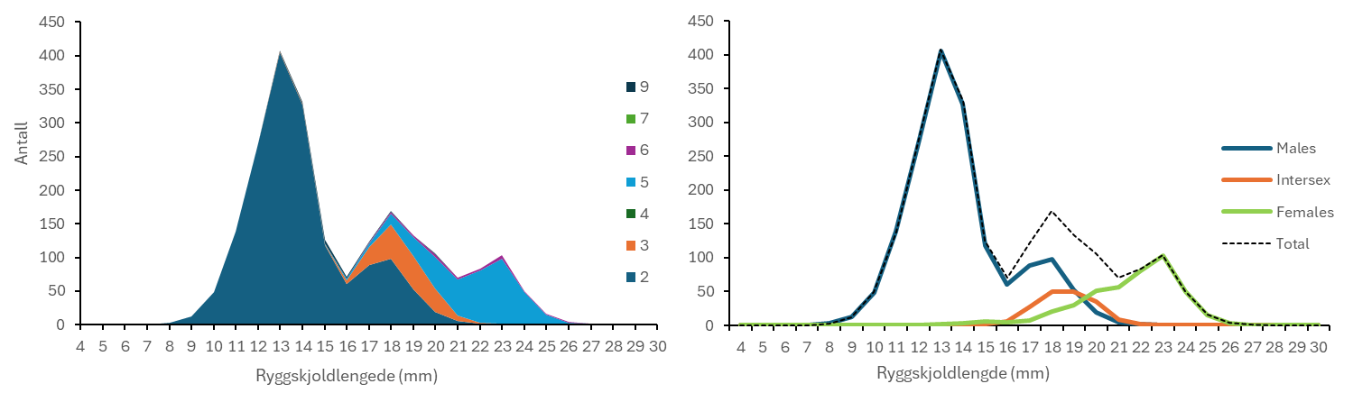 Tetthetsplott (venstre) og linjediagram (høyre). X-aksene viser ryggskjoldlengde i mm og går fra 4 til 30 mm. Y-aksene viser antall og går fra 0 til 450. Plottet til venstre har følgende farger for de ulike stadiene (begynner nederst med stadium 2): 2=petroleumsblå, 3=oransje, 4=mørk grønn, 5=lys blå, 6=lilla, 7=lys grønn og 9=mørk blå. Diagrammet til høyre har følgende fargebeskrivelser: Petroleumsblå=males, oransje=intersex, lys grønn=females og stiplet linje er total.