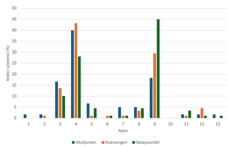 Akustiske tettheter (NASC per 0,1 nautisk mil) av sild registrert på nvg- overvintringstoktet 2025.